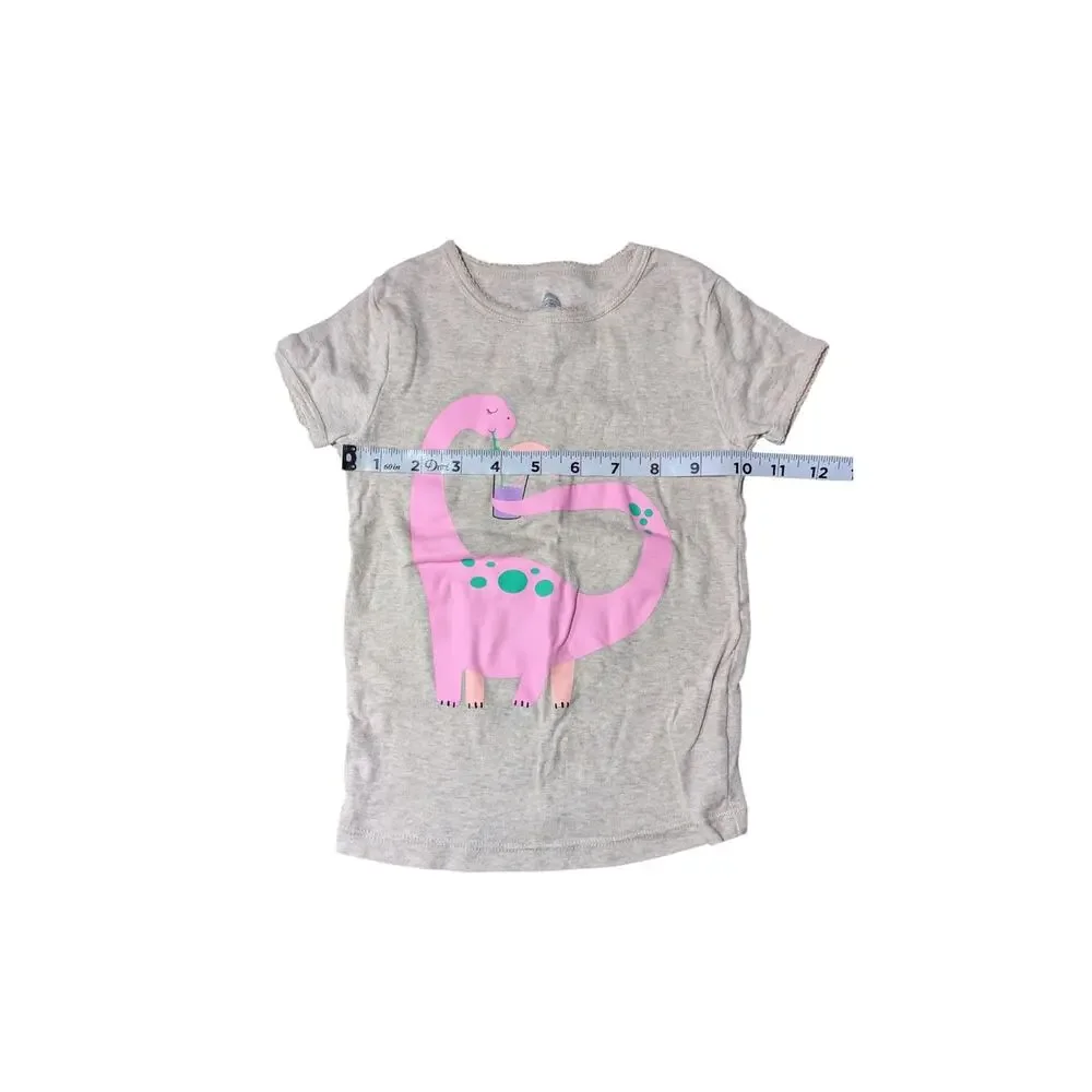 Wonder Nation-Pink Dinosaur Pajamas-Size 5T-Pink Dino Top-Multicolor Dino Bottom
